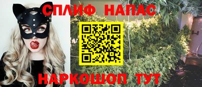 гидропоника Жуковский