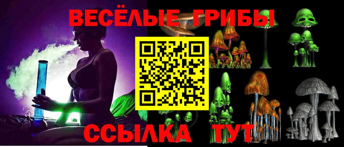 Псилоцибиновые грибы Cubensis  Вход с VPN  Люберцы 